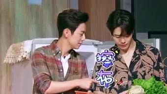 番茄爆料搞笑娱乐圈,娱乐圈笑料连连，明星们“笑果”十足